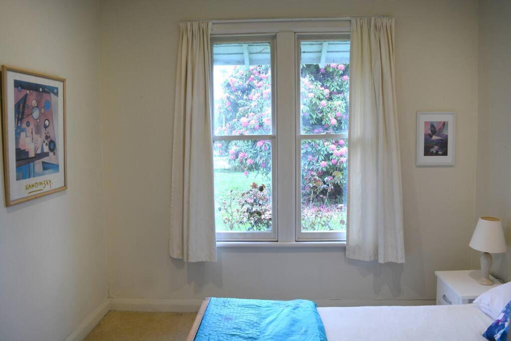 Riverlea Cottage - Cosy, Comfy, Quiet, Central 타우마루누이 외부 사진